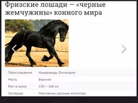 घोड़ा, Friesian — फ़ोटो 3