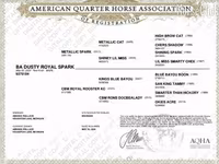 母马, Quarter Horse — 照片 4