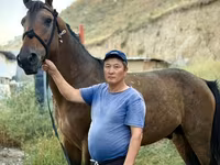 Horse (M), French Trotter — photo 1