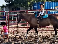 母马, American paint horse — 照片 8