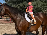 घोड़ी, Quarter Horse — फ़ोटो 1