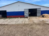 İnek, Bucaklı kırmızı benekli Ukrayna ineklerinin Bukovina fabrika tipi — foto 6
