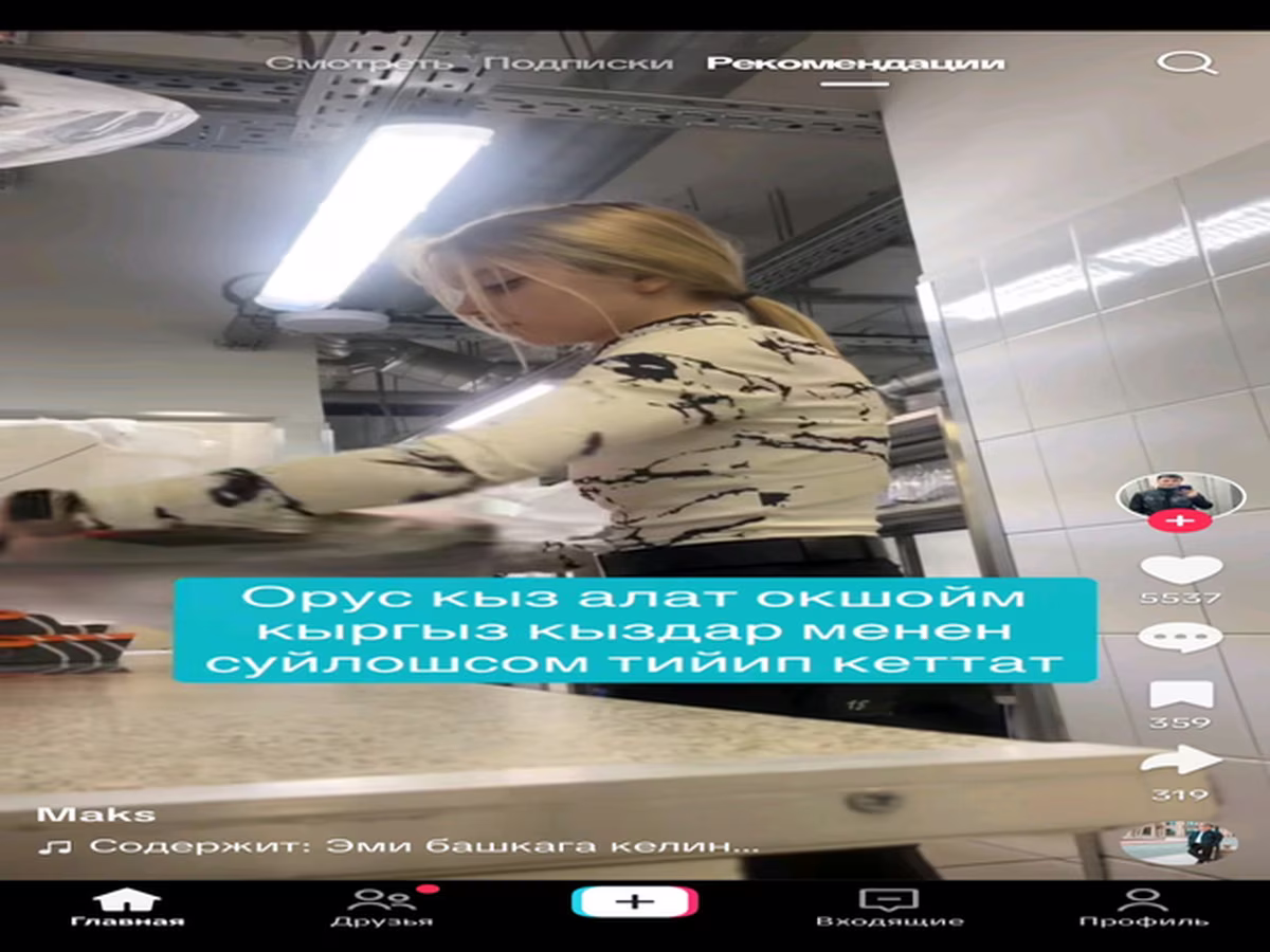 Армянская полугрубошёрстная овца