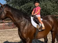 घोड़ी, Quarter Horse — फ़ोटो 7