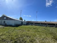 İnek, Bucaklı kırmızı benekli Ukrayna ineklerinin Bukovina fabrika tipi — foto 3