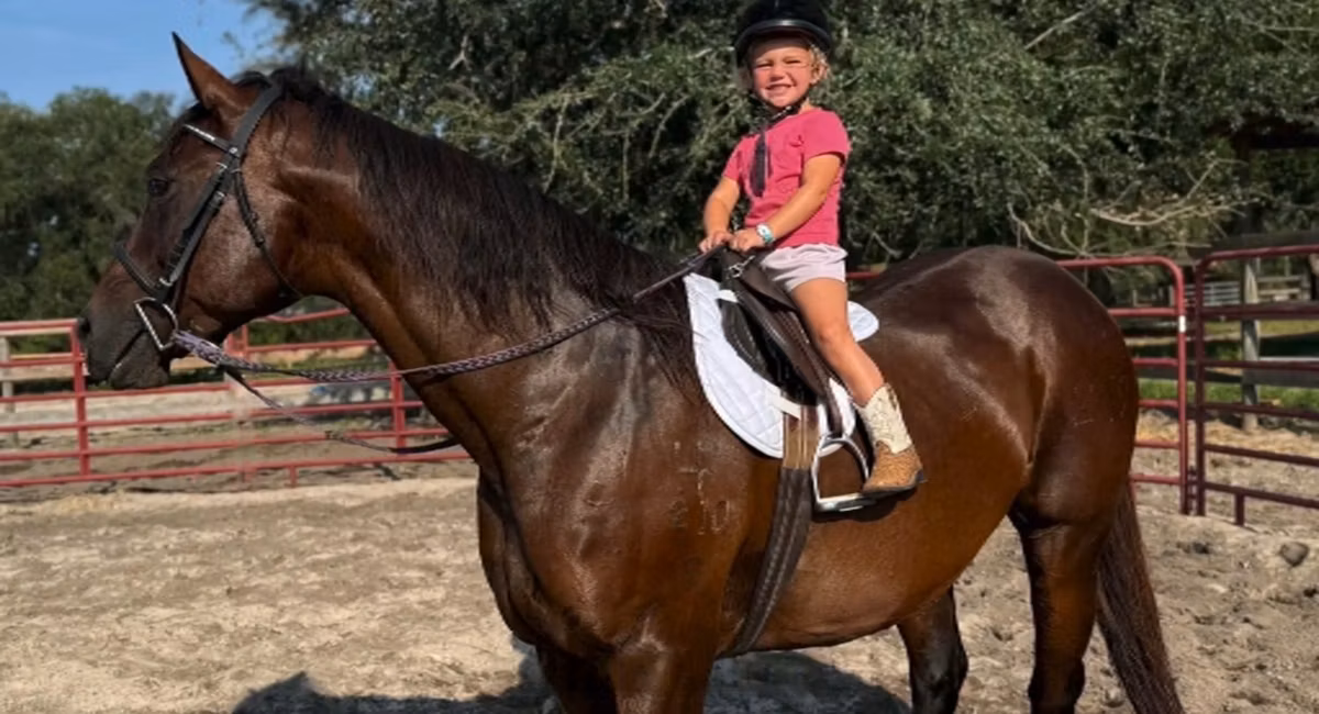 Quarter Horse